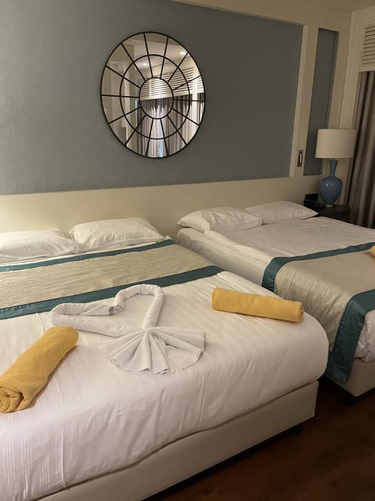 Zimmer Papillon Zeugma Relaxury