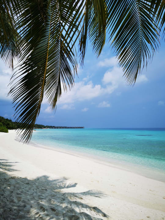 Strand Kuramathi Maldives