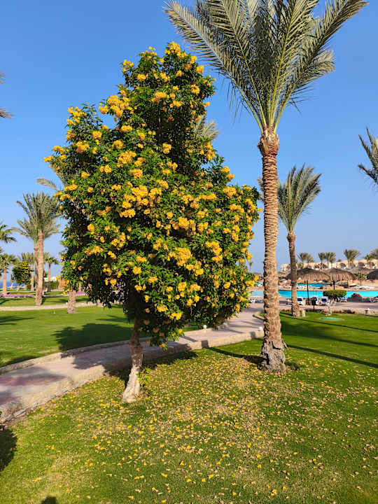 Außenansicht Three Corners Sea Beach Resort