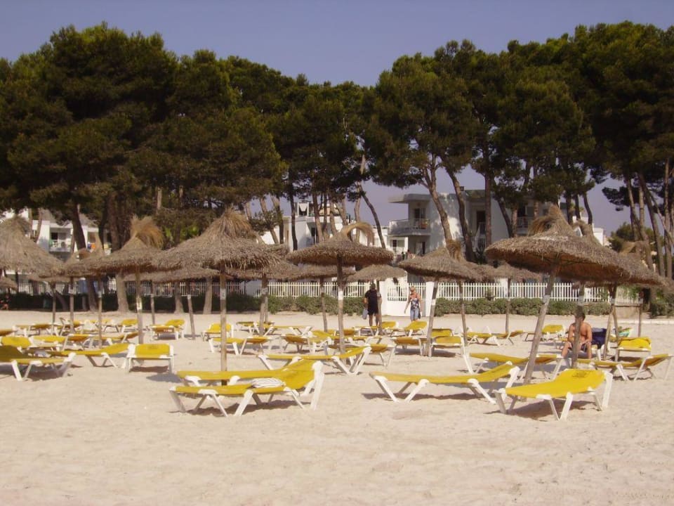 Hotelstrand wunderschön Bordoy Alcudia Bay