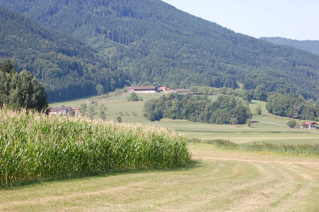 Der Hof von der Straße aus Oberulpointhof