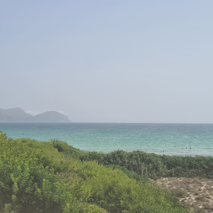 Ausblick Zafiro Bahia