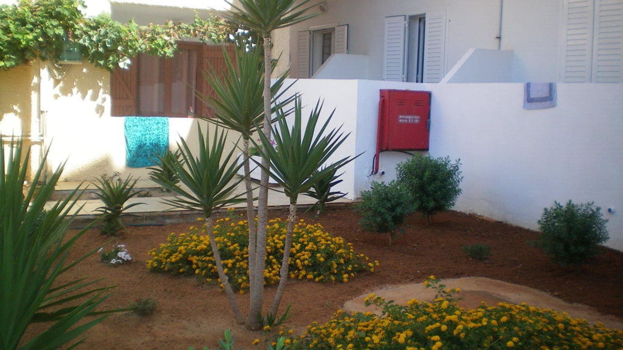 Gepflegte Anlage allsun Hotel Carolina Mare