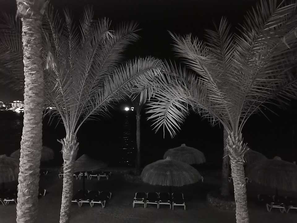 Ausblick Sunny Days El Palacio Resort & Spa