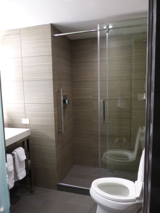 Zimmer Hilton Garden Inn New York Times Square North