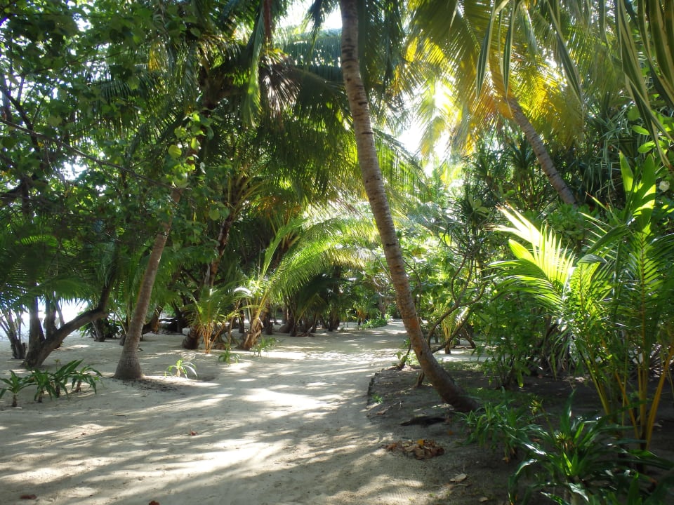 Diese Wege  Kuramathi Maldives