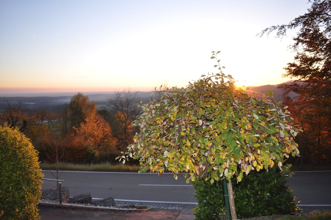 Ausblick vom Zimmer Thula Wellnesshotel Bayerischer Wald