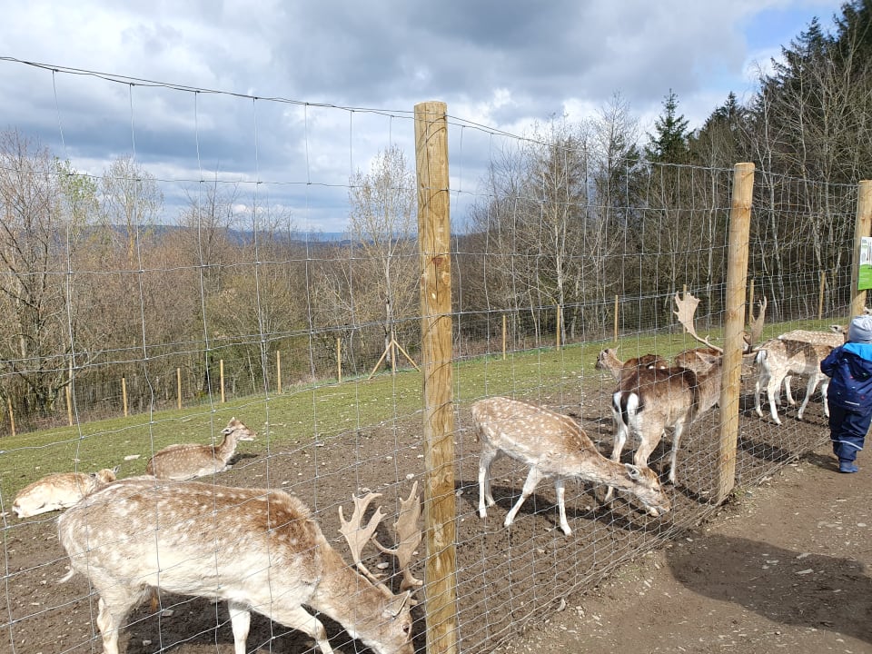 Sport & Freizeit Landal Sonnenberg