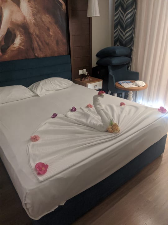 Zimmer Dream World Resort & Spa