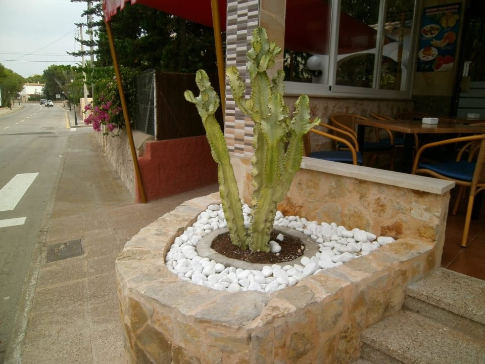 Hotel Figuera Park Residencia Santiago Mallorca