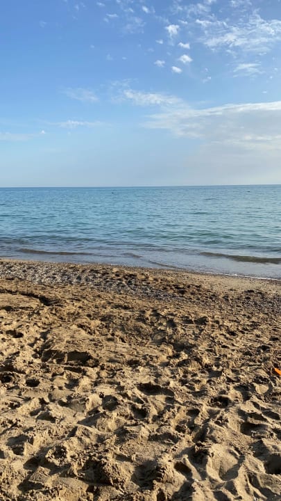 Strand Papillon Belvil