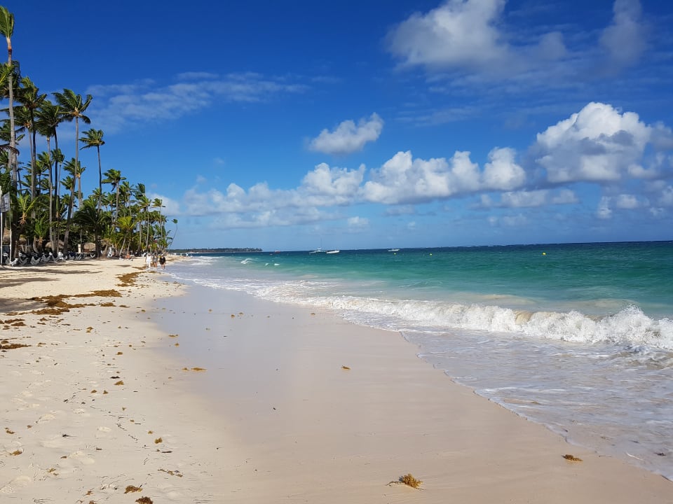 Strand TRS Turquesa Hotel - Adults only