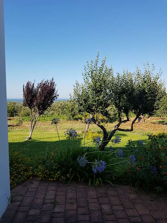 Ausblick B&B La Vigna