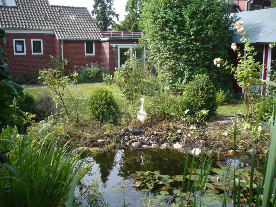 Garten mit Teich und Blick auf's Ferienhaus Ferienhaus Eden
