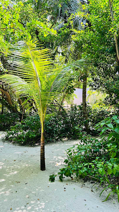 Außenansicht Summer Island Maldives