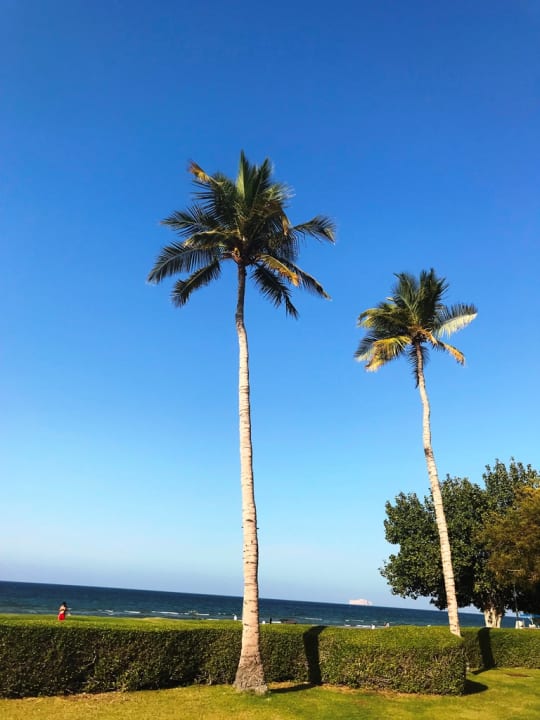 Garten Grand Hyatt Muscat