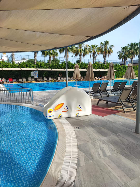 Pool Hane Family Resort