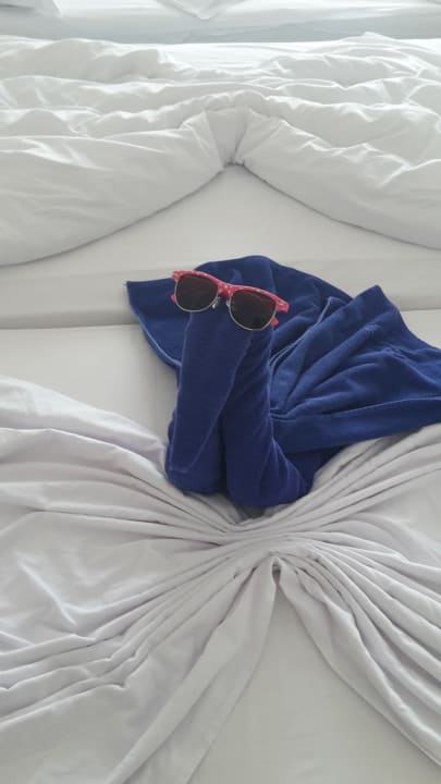 Zimmer Sentido Marea