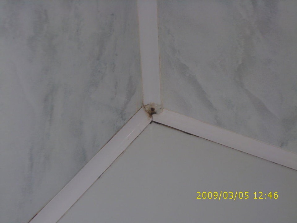 Schimmel im 5 Sterne Bad Nové Lázné Ensana Health Spa Hotel