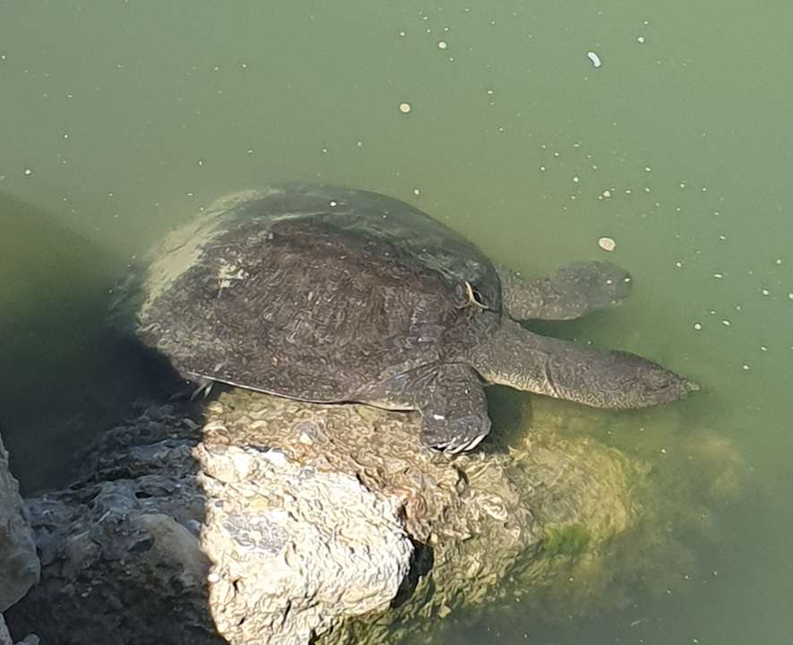 Sonstiges Dream World Aqua Hotel