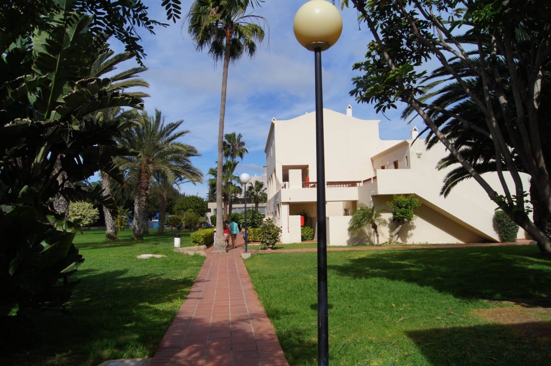 3 Hotel Riu Oliva Beach - Hotel