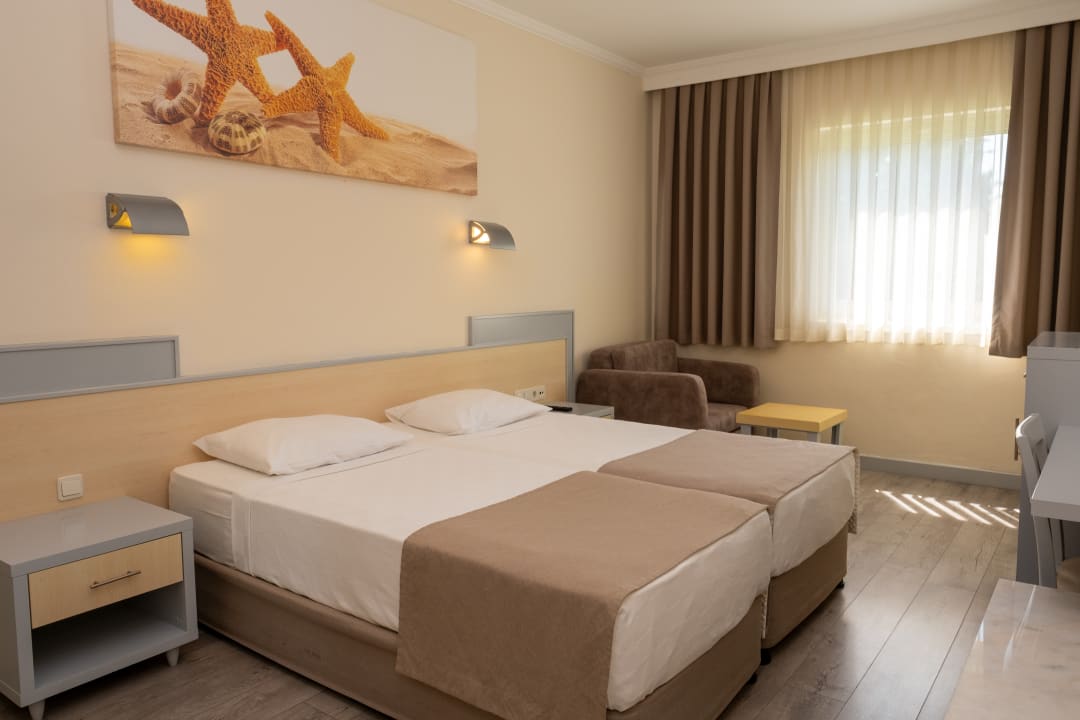 Zimmer AQI Pegasos World