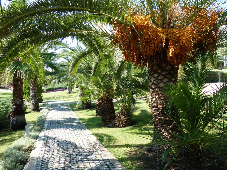 Ein Weg zum Strand Arcanus Hotels Sorgun
