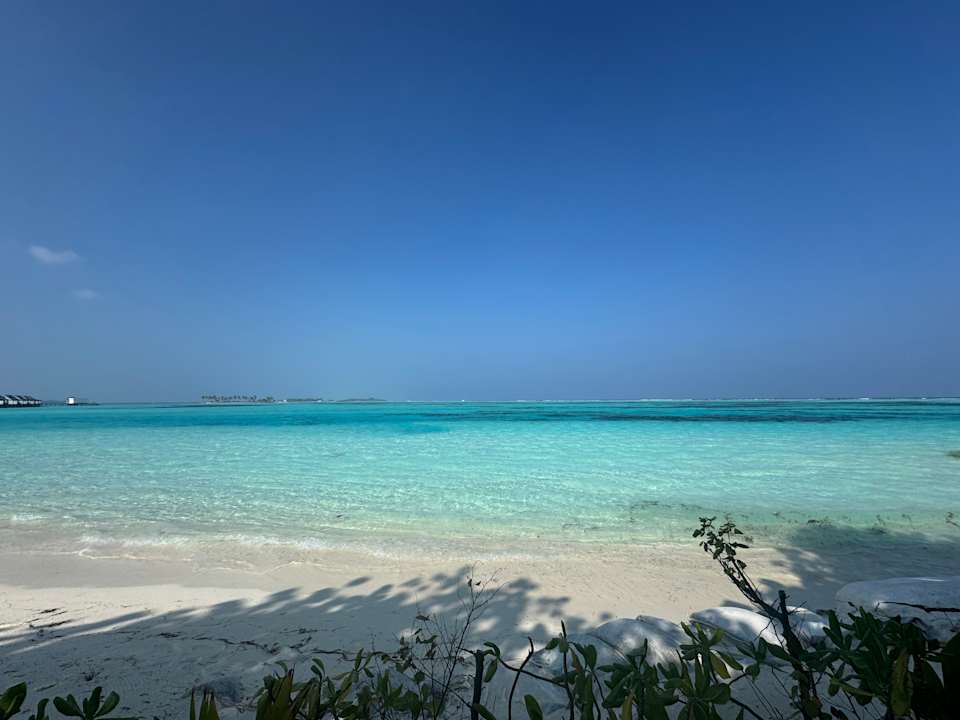 Pool OZEN LIFE MAADHOO