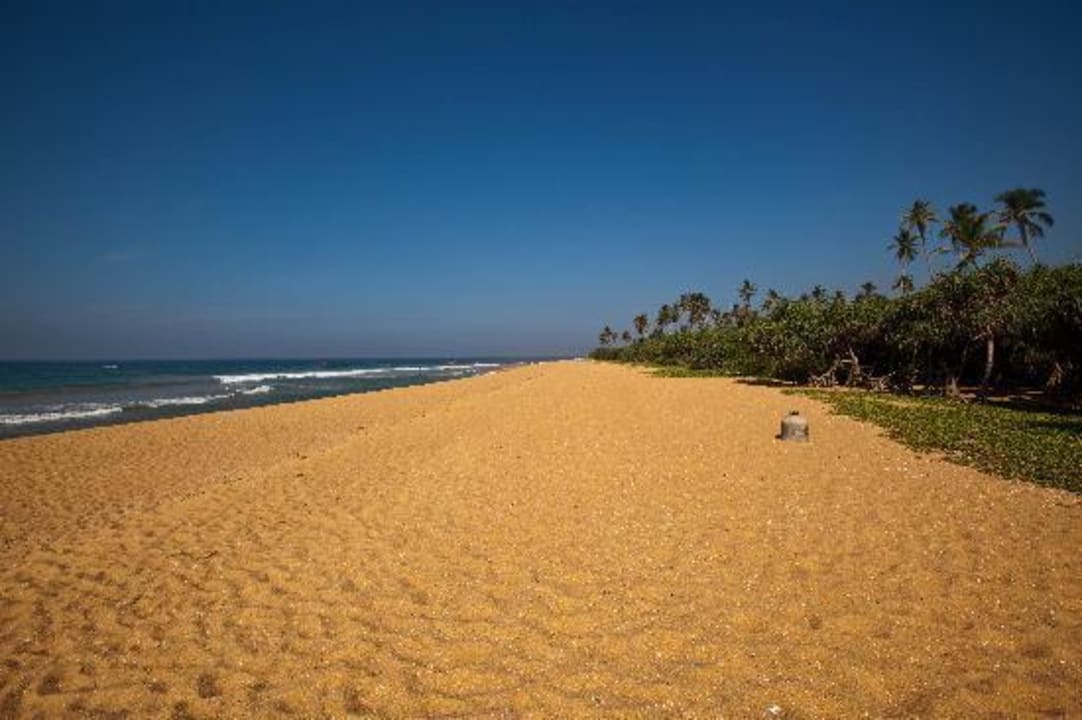 Der Strand von Hikkaduwa ist ein Träumchen Citrus Hikkaduwa