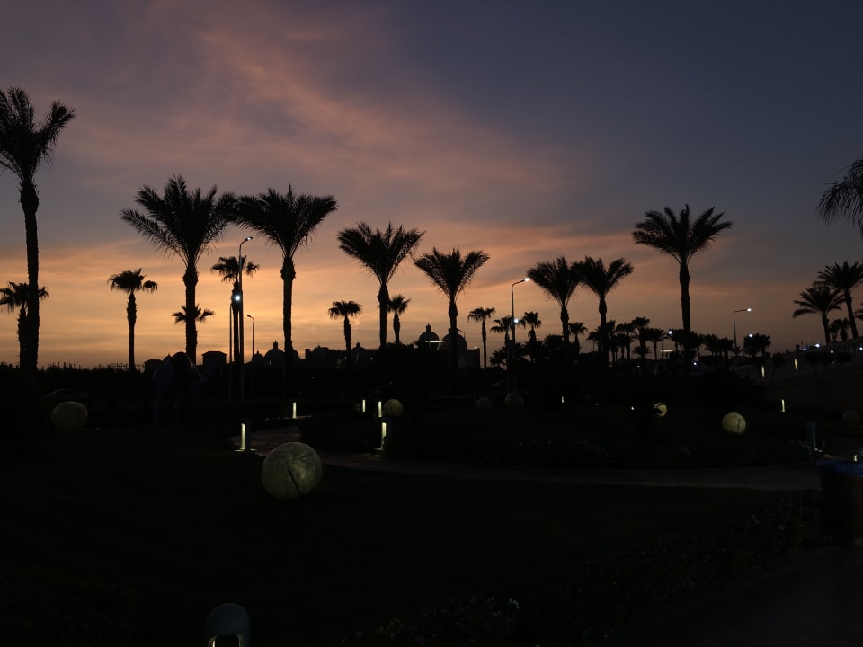 Gartenanlage Pickalbatros Palace Resort