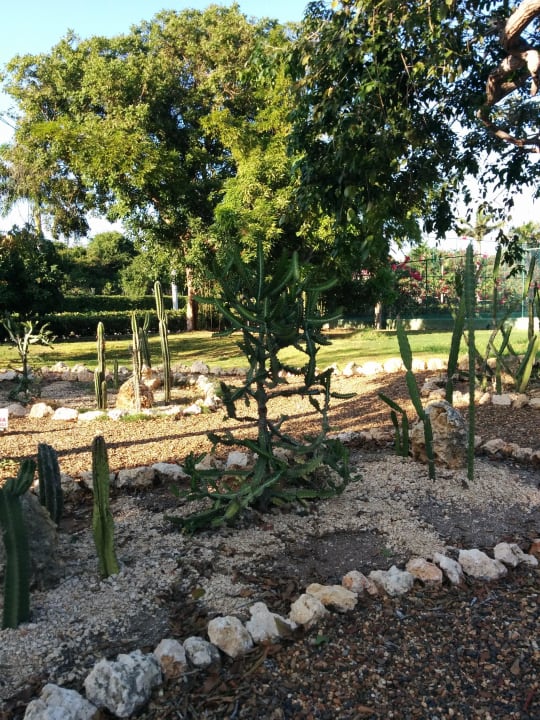 Garten Decameron Baru