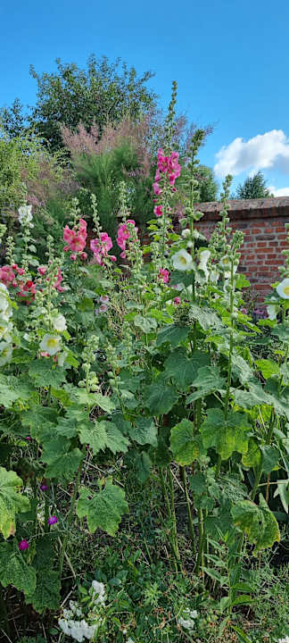 Gartenanlage Pałac i Folwark Galiny