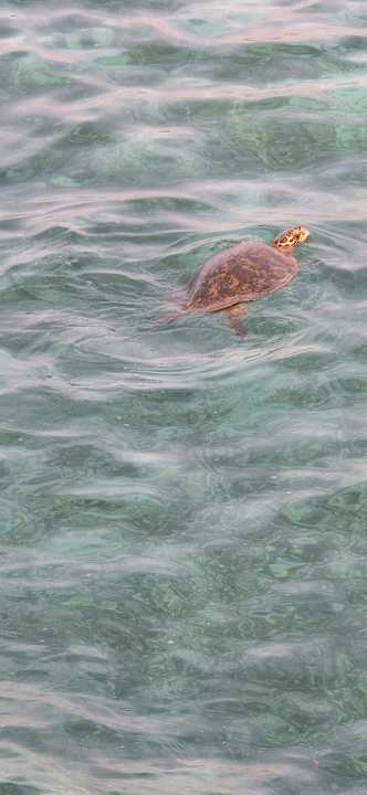 Strand Jawakara Islands Maldives