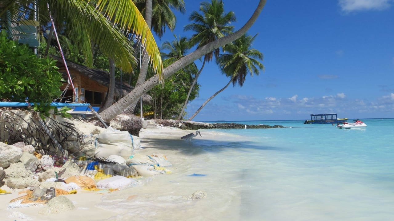 Hotel Fihalhohi Island Resort Fihalhohi Maldives