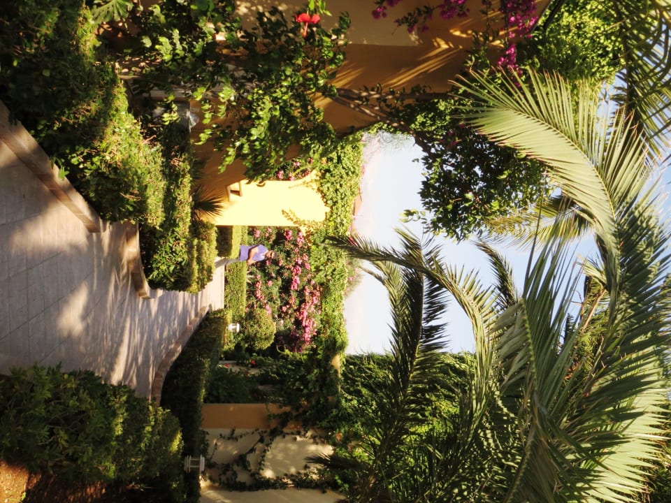 Üppiges Grün  Vantaris Luxury Beach Resort