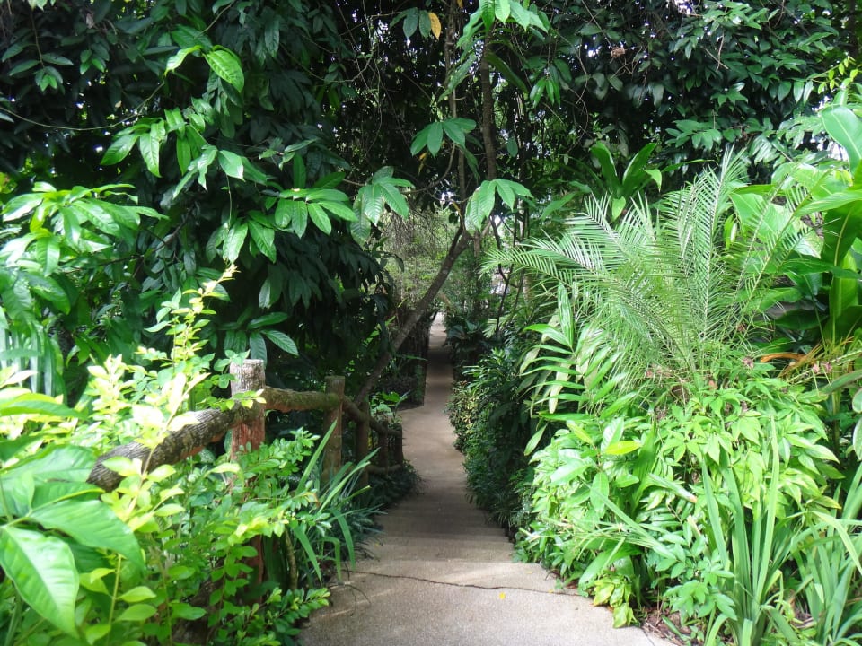 Richtung Pool Deevana Krabi Resort