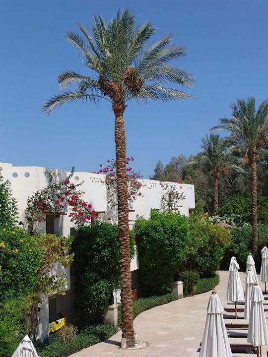 Anlage Ghazala Gardens