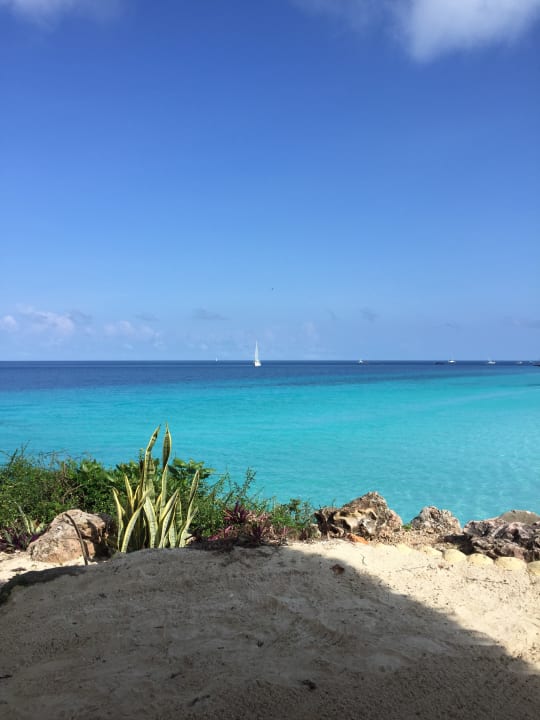 Ausblick Royal Zanzibar Beach Resort