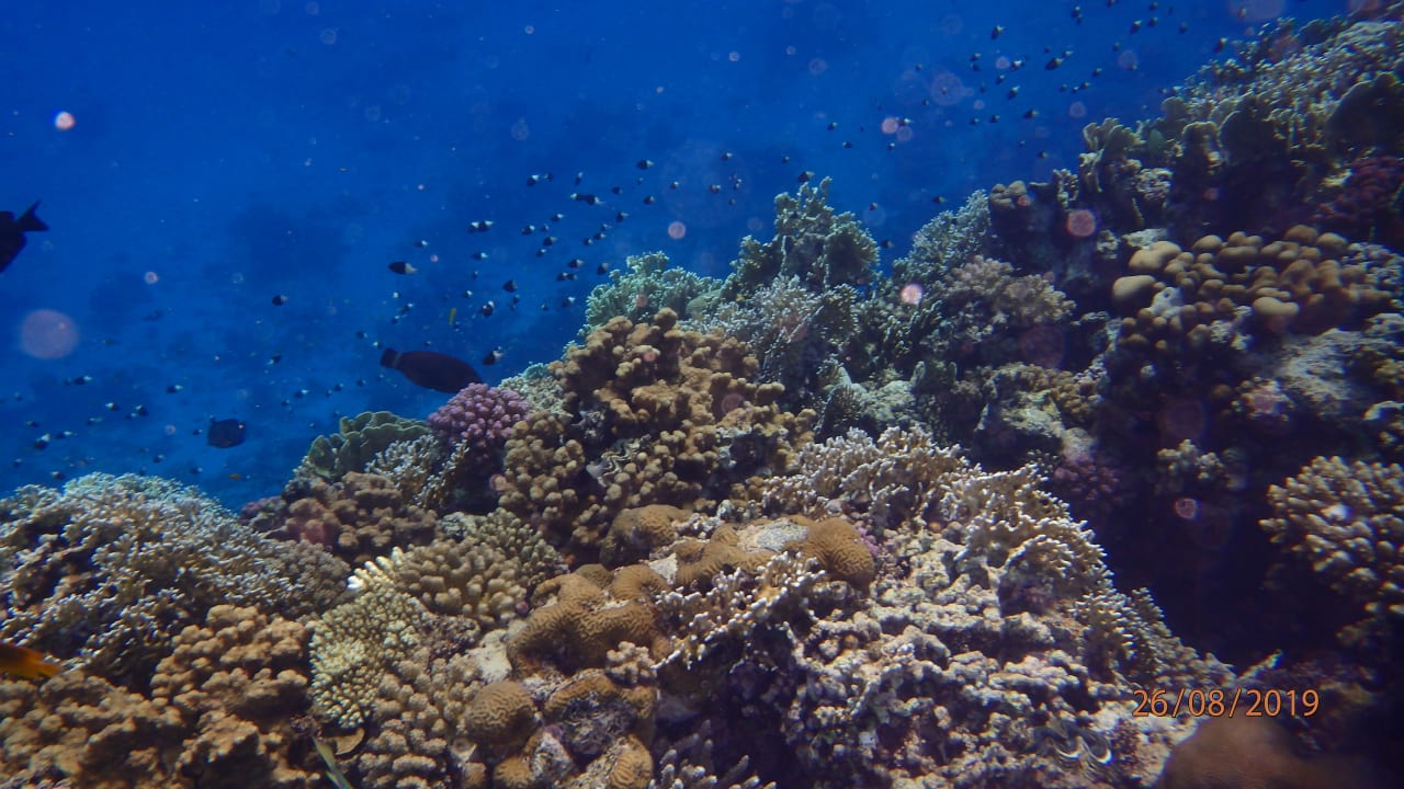 Sport & Freizeit Three Corners Sea Beach Resort