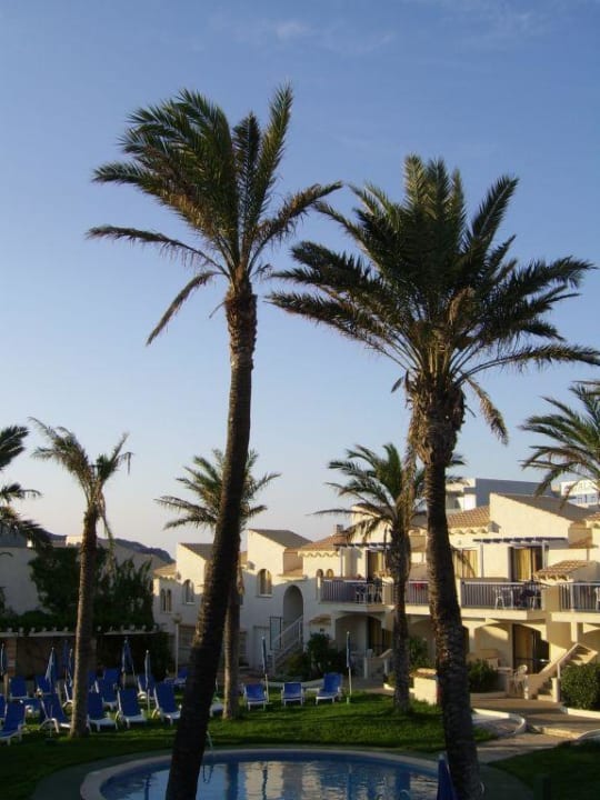 Parque Nereida Palmen Parque Nereida Suites Hotel