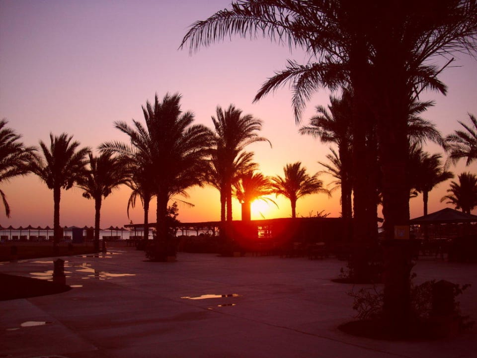 Sonnenaufgang überm Meer Stella Beach Resort & Spa Makadi Bay