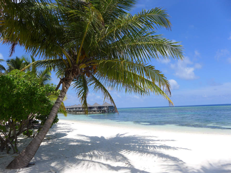 Strad mit Wasserbungalows Kuredu Island Resort & Spa