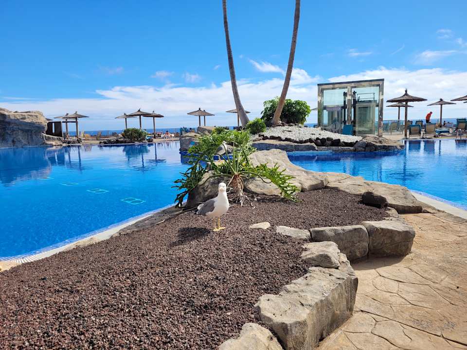 Pool AluaVillage Fuerteventura