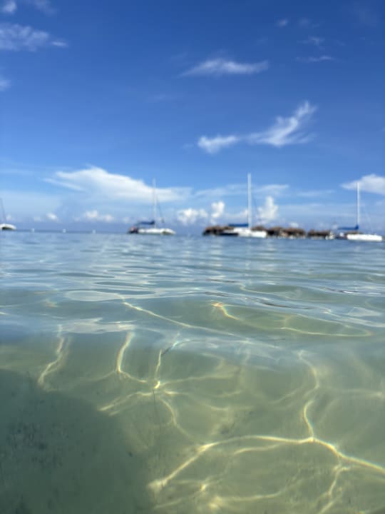 Strand Riu Montego Bay - Adults Only