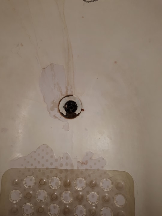 Zimmer Howard Plaza The Fern