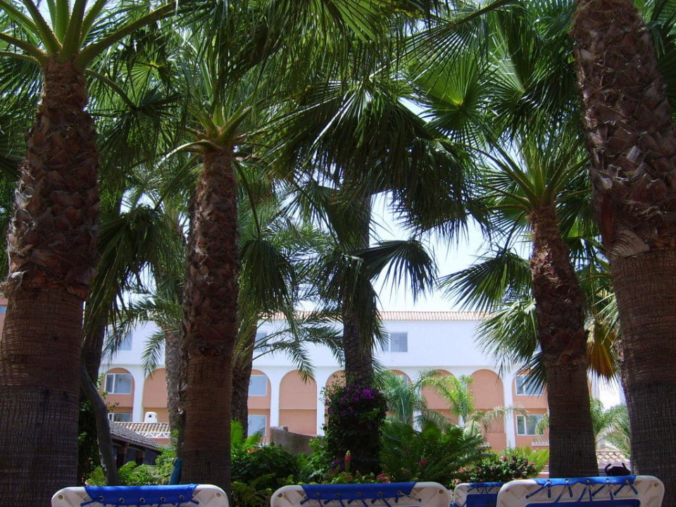 Solarium Diver Roquetas Hotel by Senator