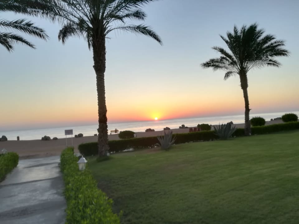 Ausblick TUI MAGIC LIFE Kalawy