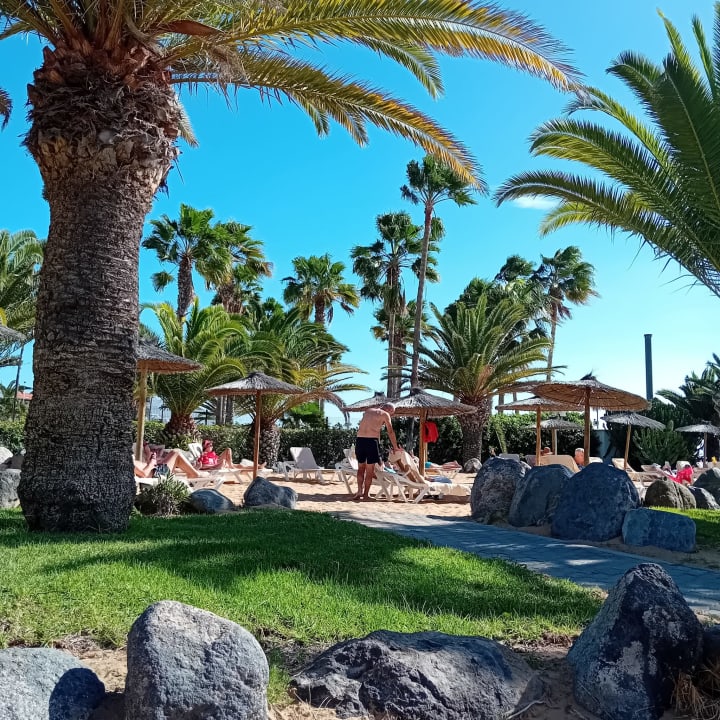 Pool Hotel Riu Arecas - Adults only