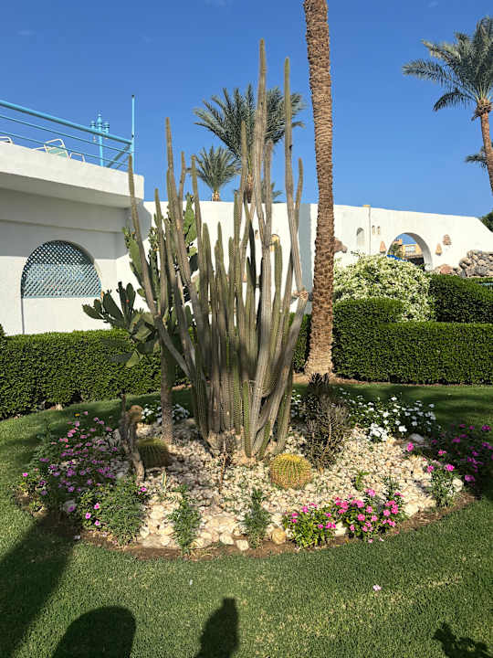 Gartenanlage Shams Safaga Resort
