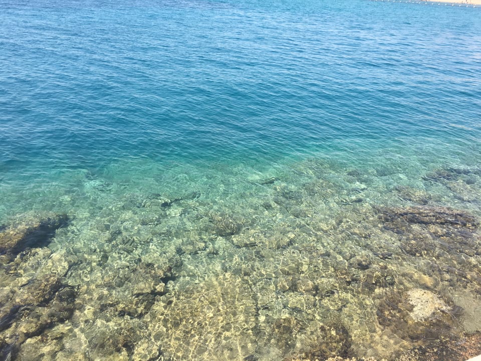 Strand Pickalbatros Aqua Park Resort - Hurghada